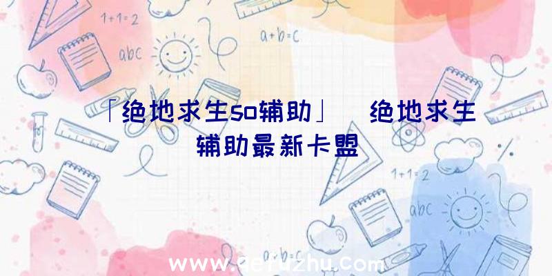 「绝地求生so辅助」|绝地求生辅助最新卡盟